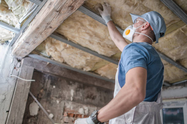 Best Insulation Maintenance and Repair in Cumings, TX