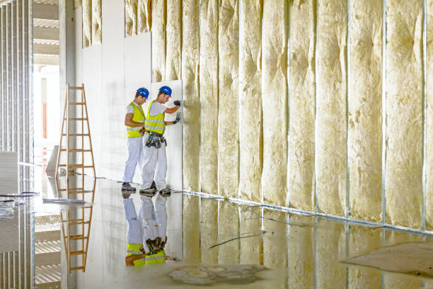Best DIY Insulation Kits and Guidance in Cumings, TX